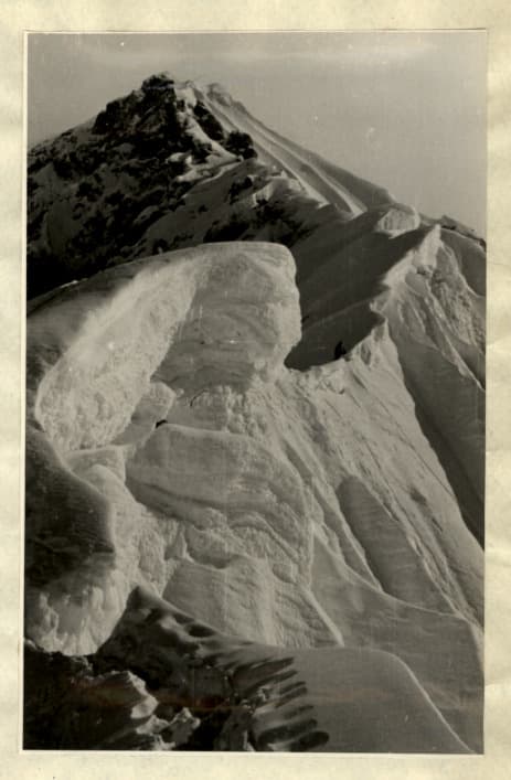 17_image_1.jpg