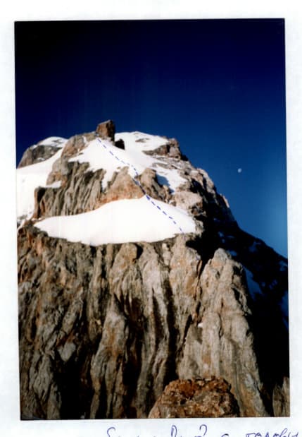 5_image_2.jpg