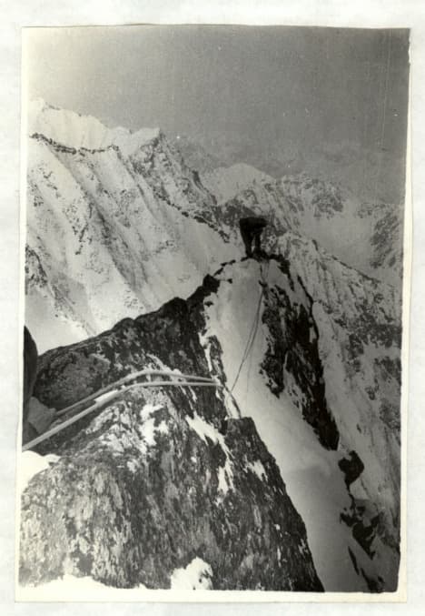7_image_0.jpg