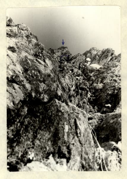 5_image_1.jpg