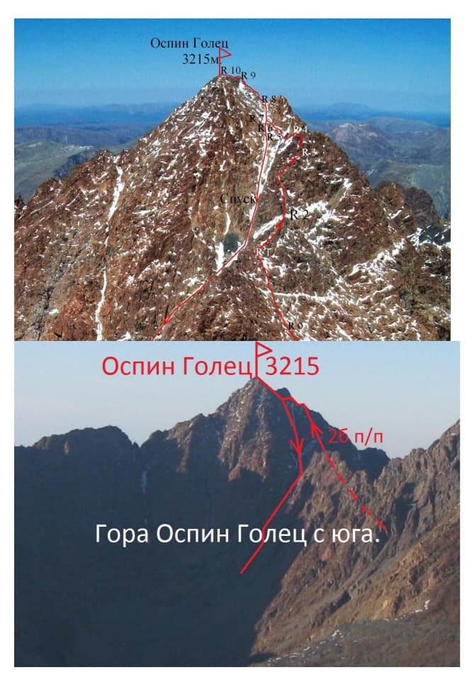 6_image_0.jpg