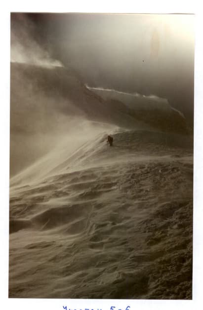 7_image_1.jpg