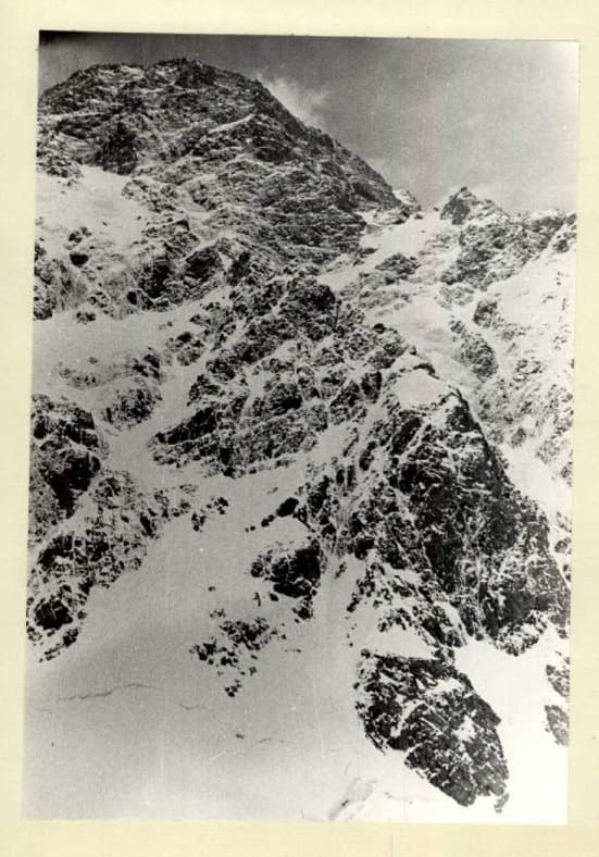 3_image_0.jpg