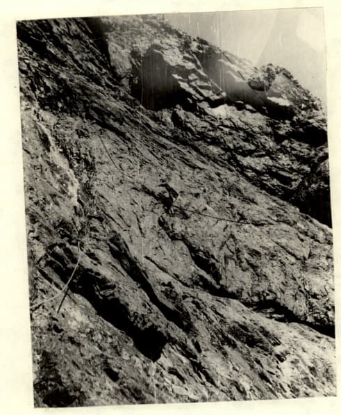 18_image_1.jpg