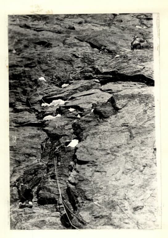 18_image_1.jpg