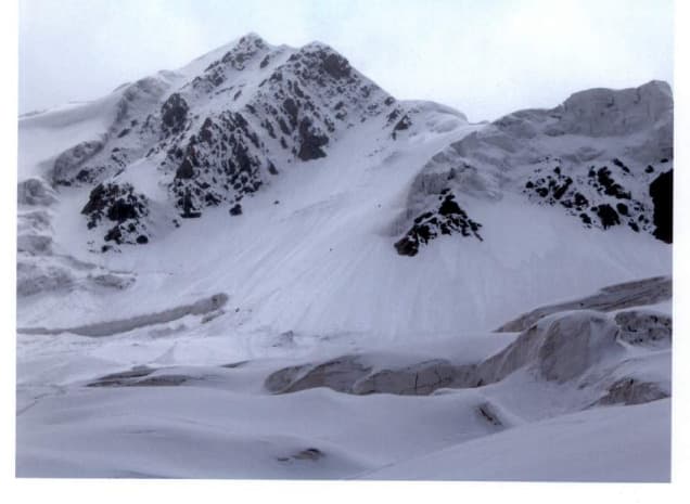 21_image_1.jpg
