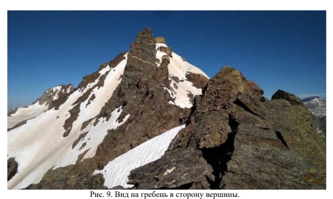 11_image_0.jpg