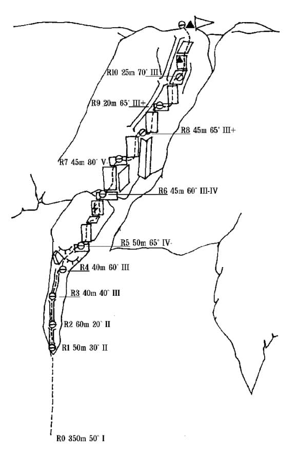 7_image_0.jpg