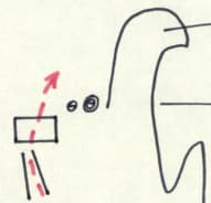 5_image_1.jpg