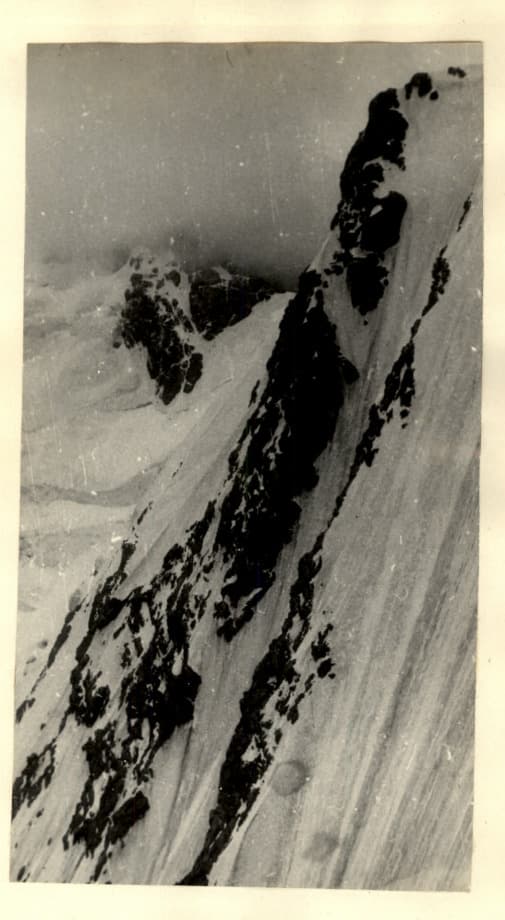 2_image_1.jpg
