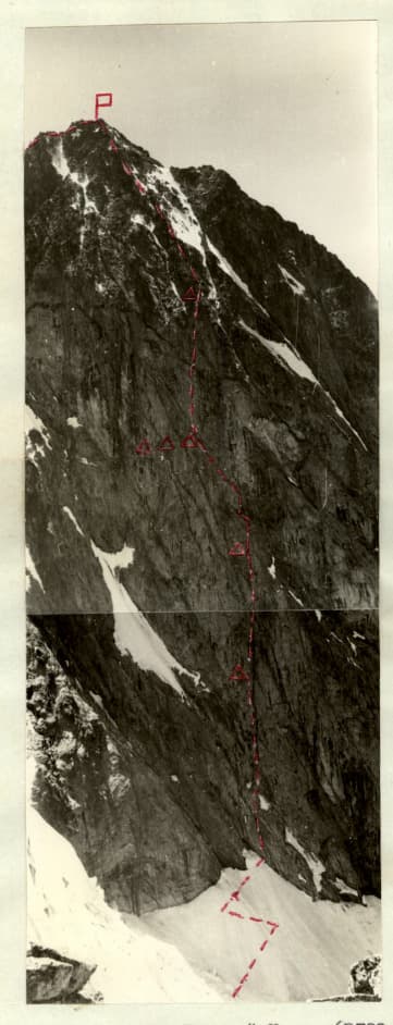3_image_1.jpg