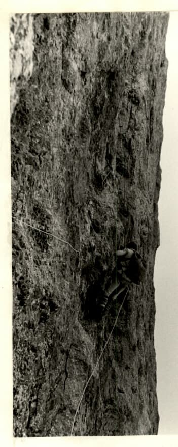 12_image_1.jpg