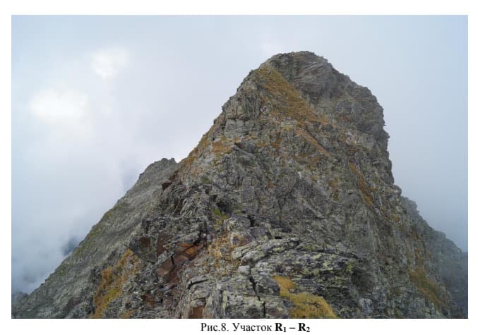 10_image_0.jpg