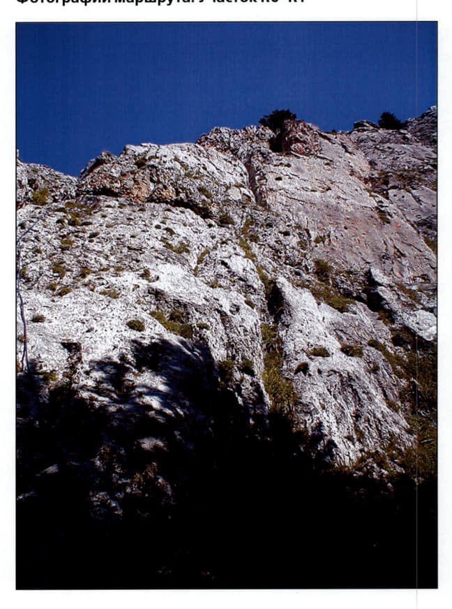 14_image_1.jpg