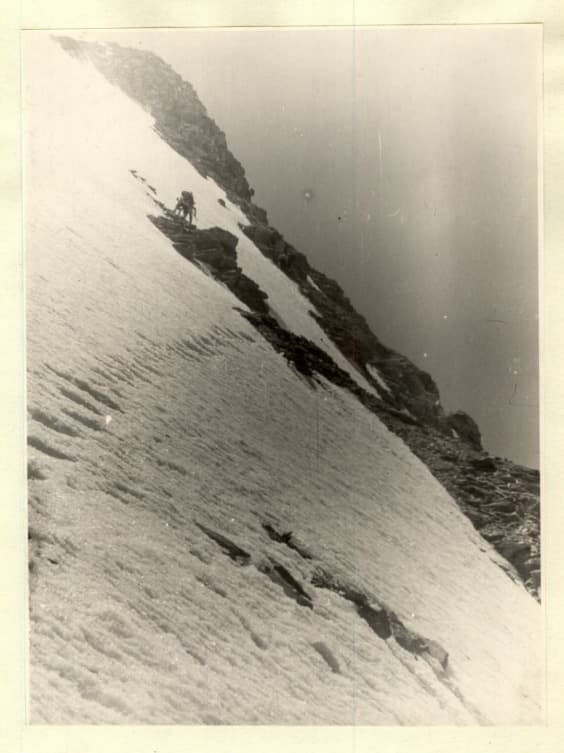6_image_1.jpg