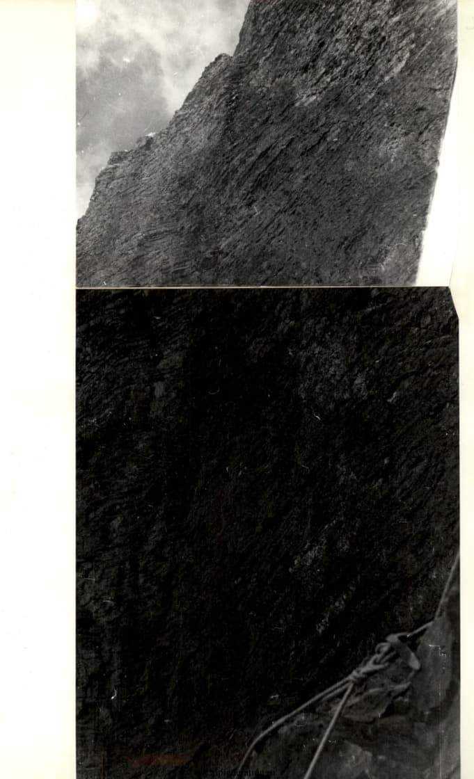 40_image_1.jpg
