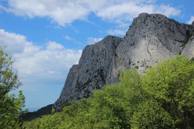 Генезис Масяни на Замке