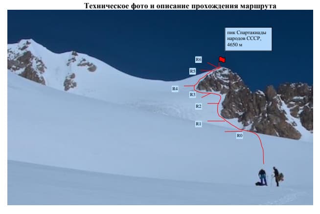8_image_0.jpg
