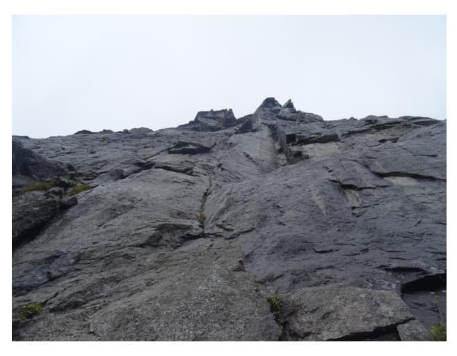 16_image_0.jpg