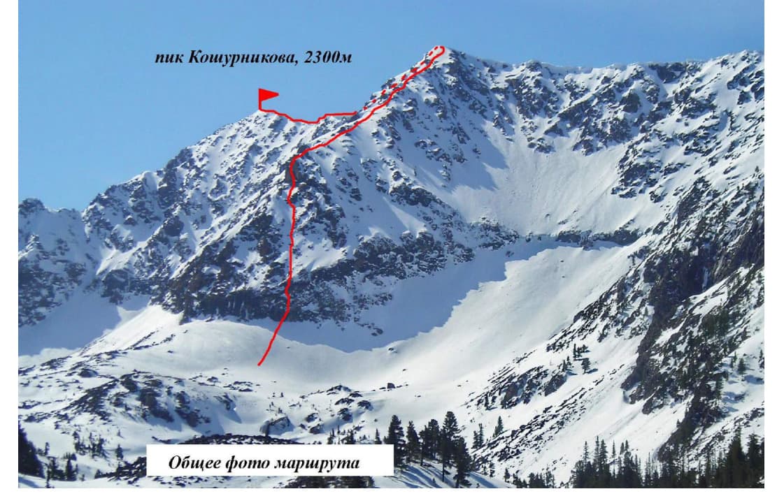 2_image_0.jpg