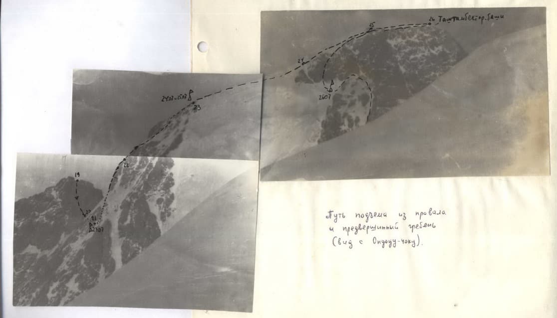 1_image_1.jpg