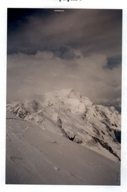 15_image_1.jpg