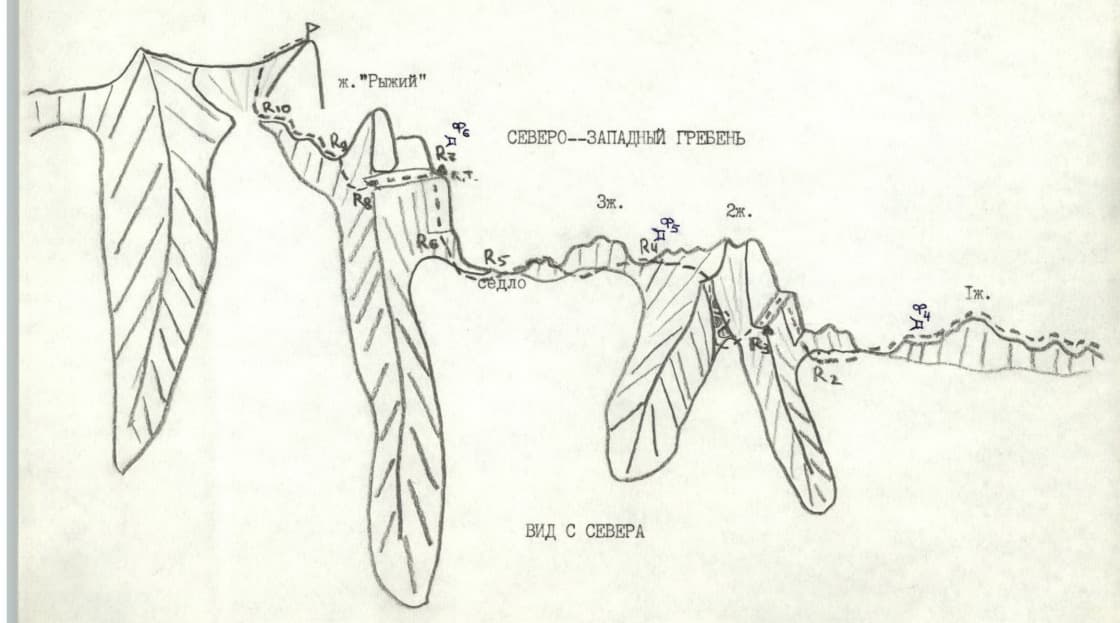 7_image_0.jpg