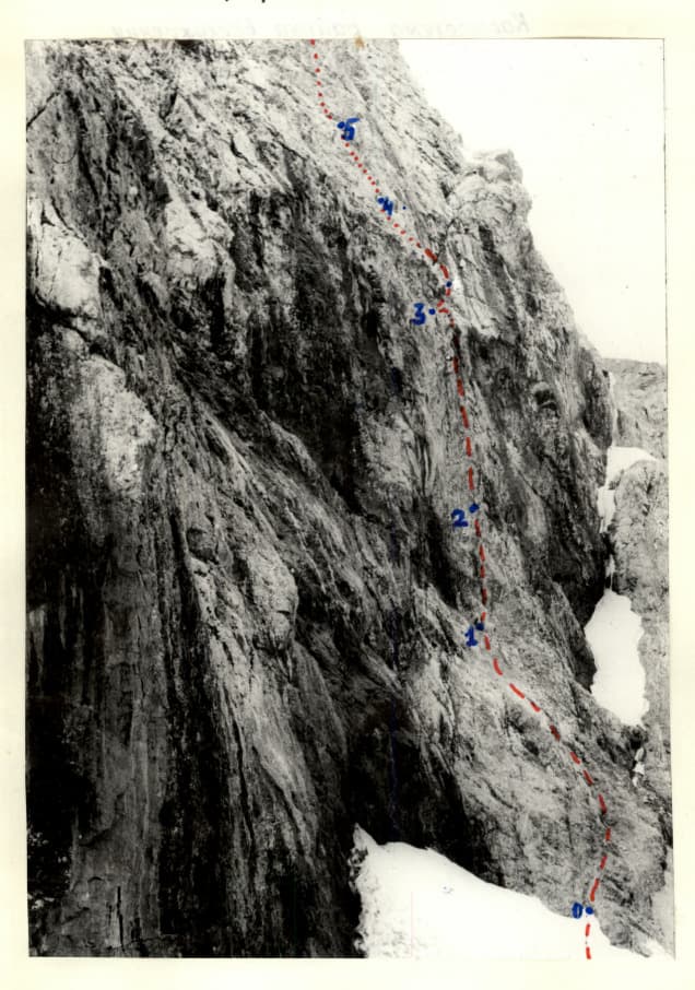 2_image_1.jpg