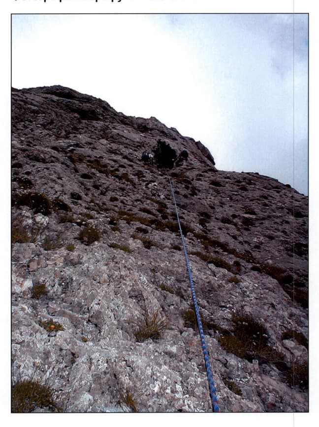 15_image_1.jpg
