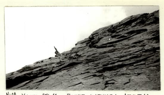 22_image_1.jpg
