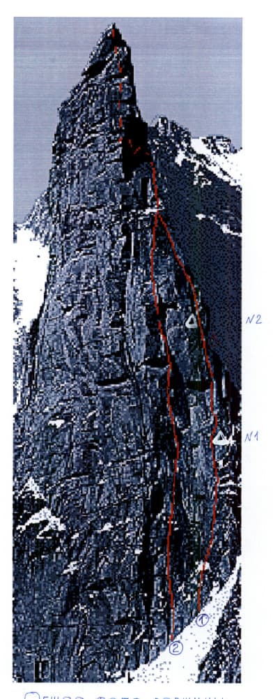 1_image_1.jpg