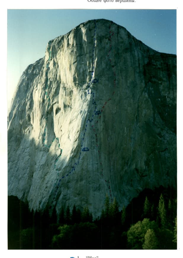 1_image_1.jpg