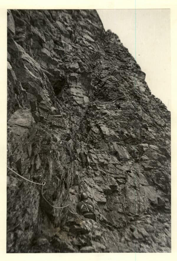 6_image_1.jpg