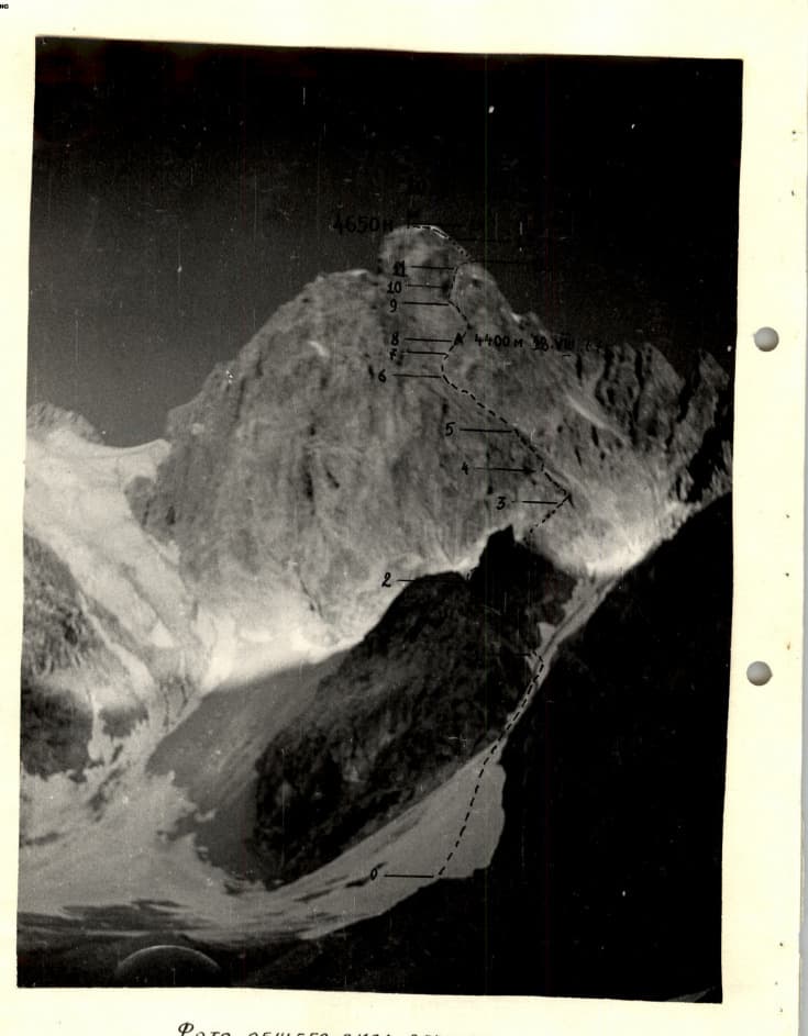 1_image_1.jpg