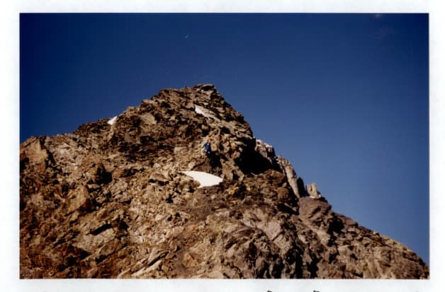 12_image_1.jpg