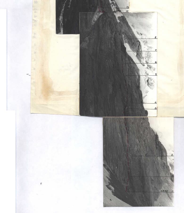4_image_2.jpg