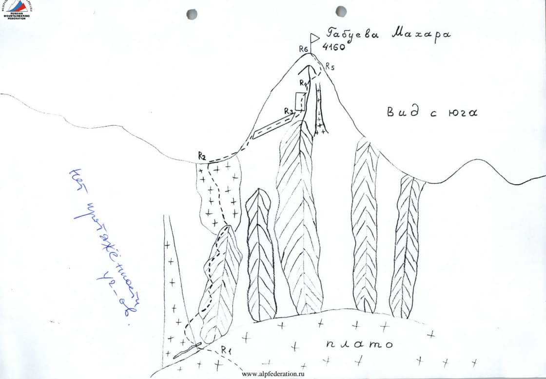 8_image_1.jpg