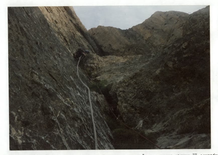 9_image_1.jpg