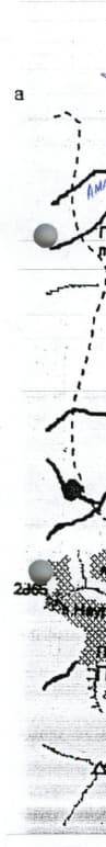 1_image_2.jpg