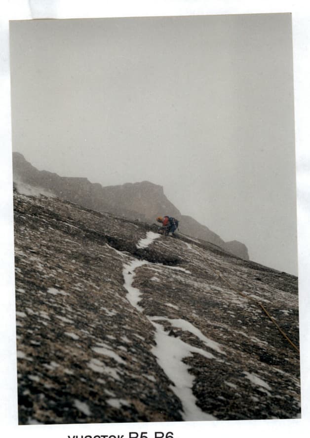 11_image_1.jpg