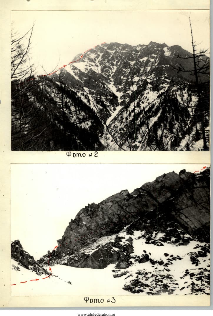 7_image_1.jpg
