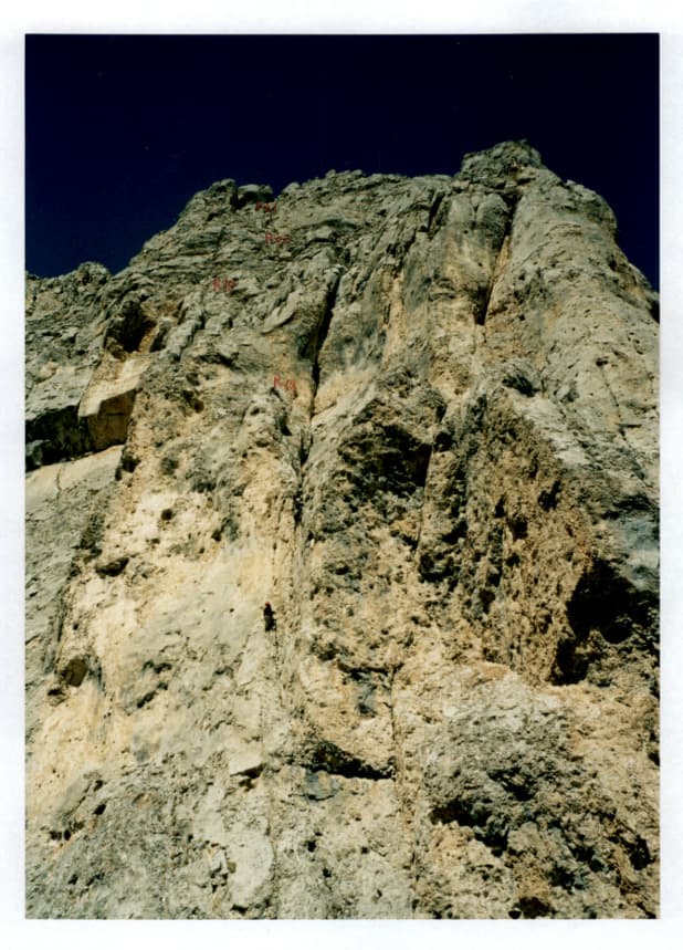 18_image_1.jpg