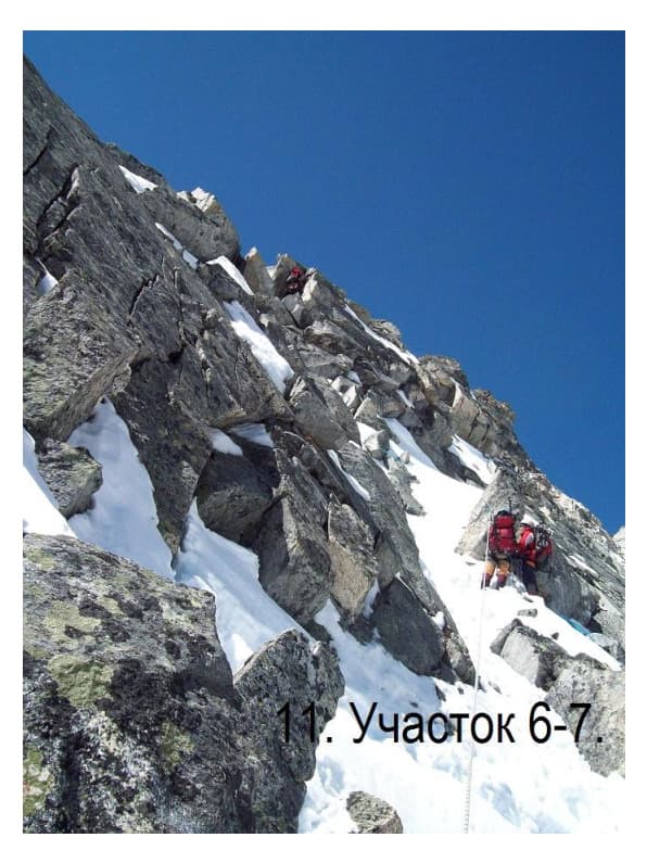 8_image_0.jpg