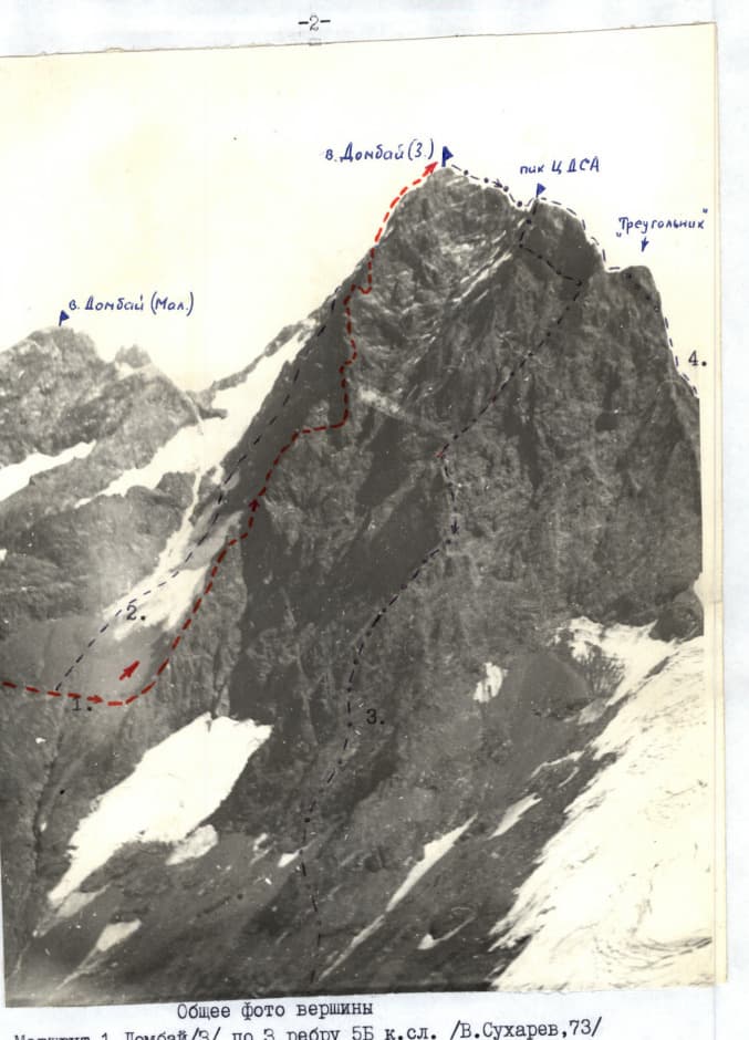 1_image_1.jpg