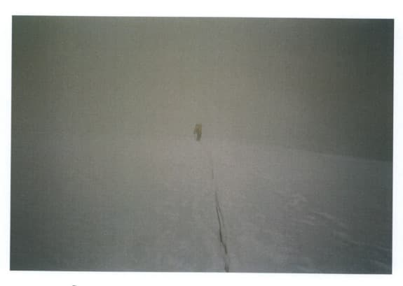 15_image_1.jpg