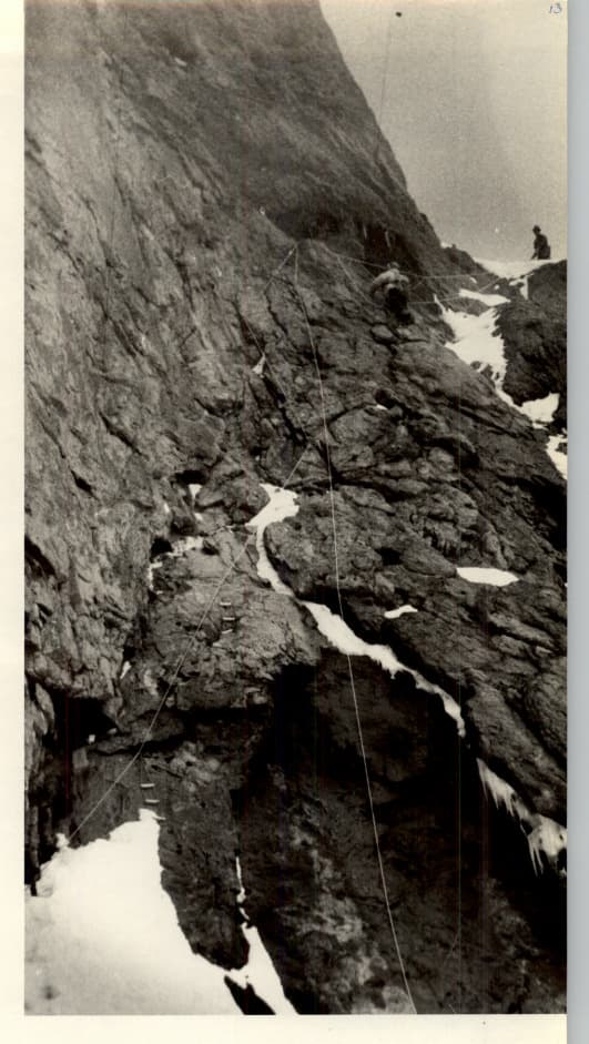 23_image_1.jpg