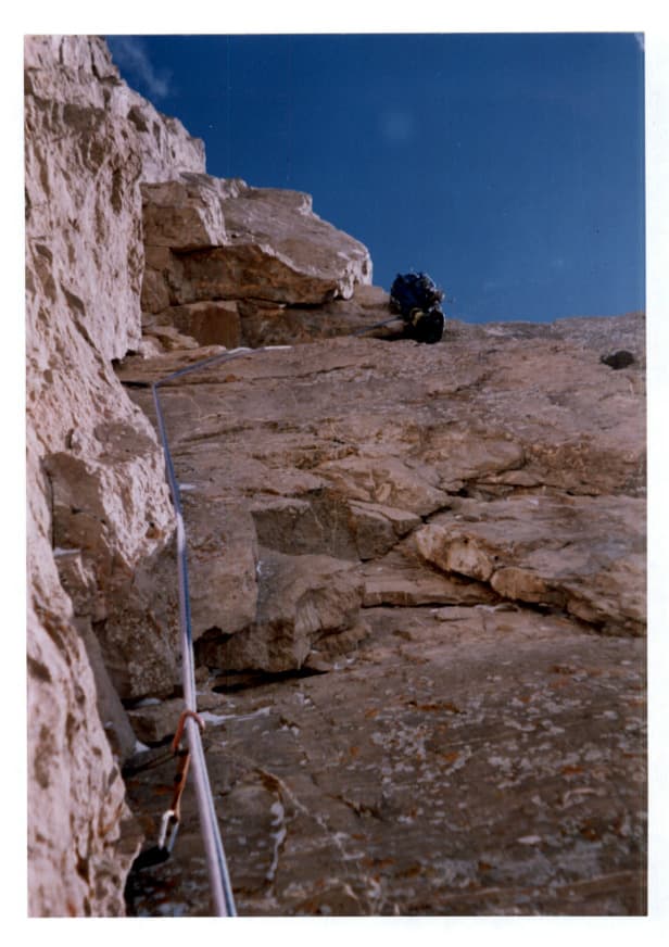 15_image_1.jpg