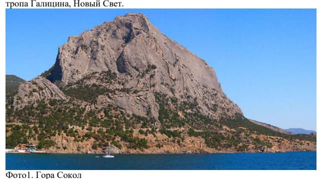 1_image_0.jpg