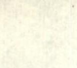 img-3.jpeg