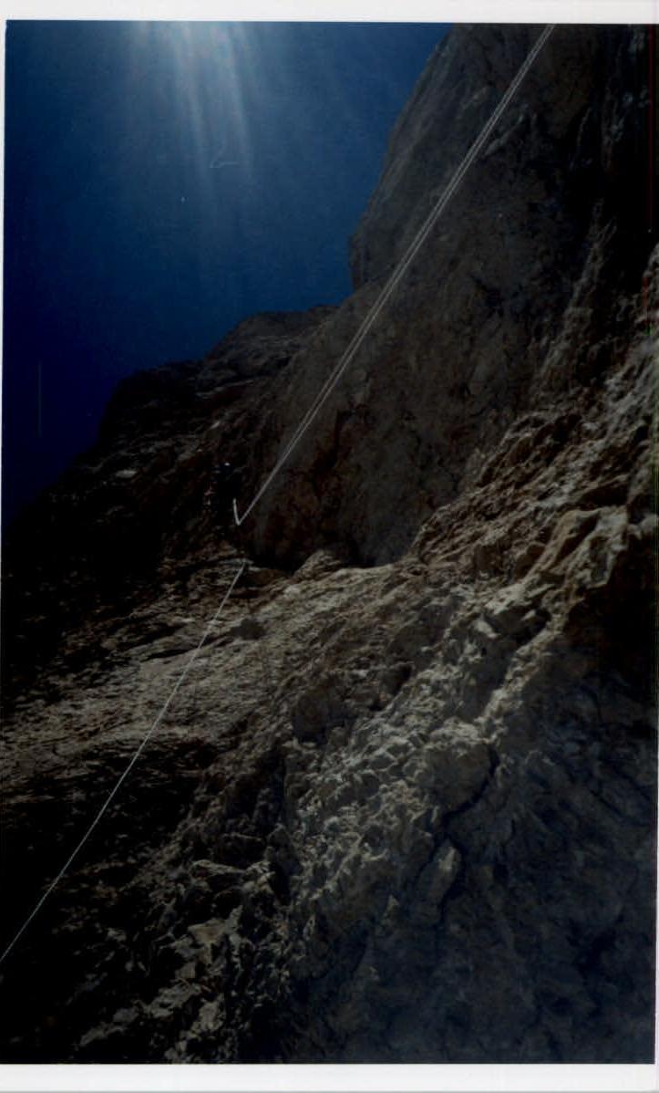 img-17.jpeg